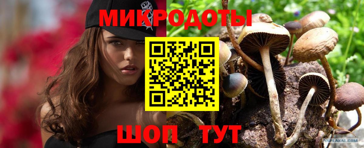 магазин продажи наркотиков  Псилоцибиновые грибы Cubensis  Вход с VPN  Псилоцибиновые грибы мицелий  Приморско-Ахтарск 